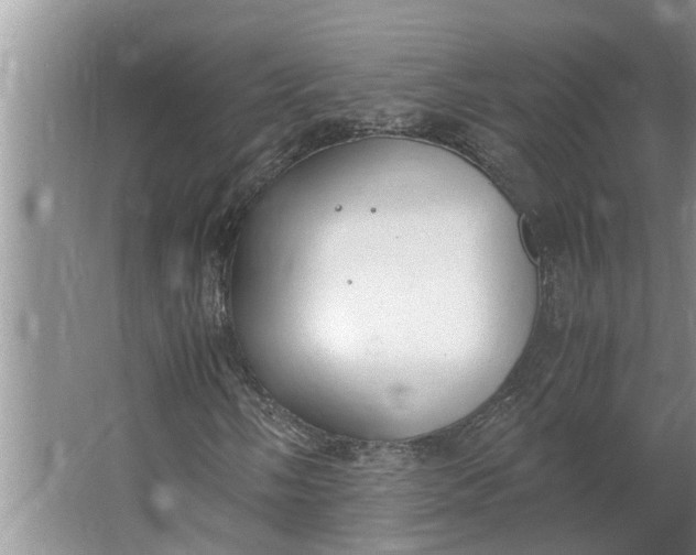 X0000062901058200601271708