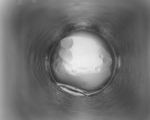 X0000062901059200601271708