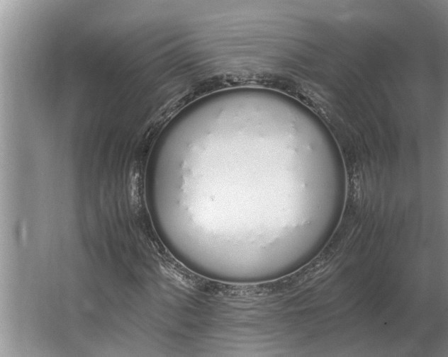 X0000062901060200601271708