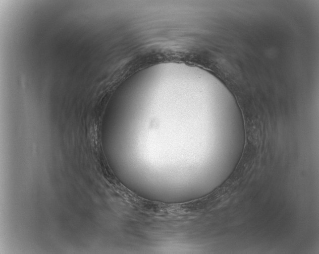 X0000062901061200601271708