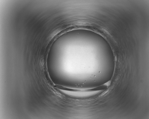 X0000062901065200601271708