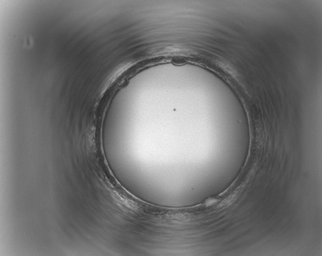 X0000062901066200601271708