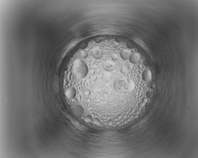 X0000062901067200601271708