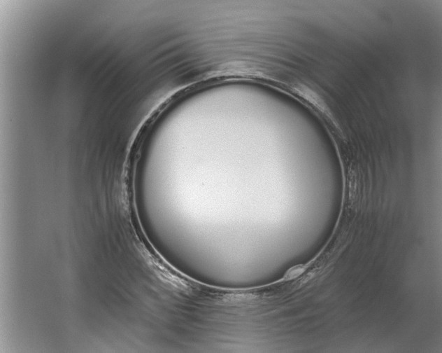 X0000062901068200601271707