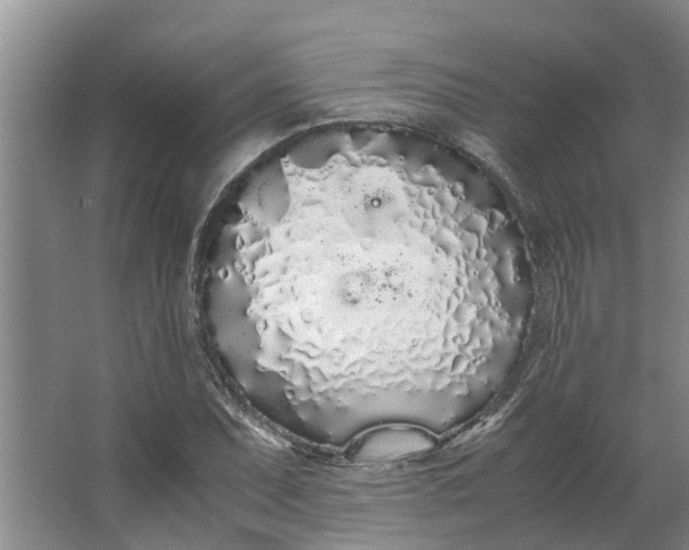 X0000062901071200601271707