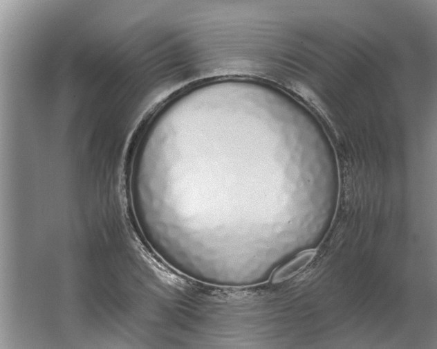 X0000062901072200601271707