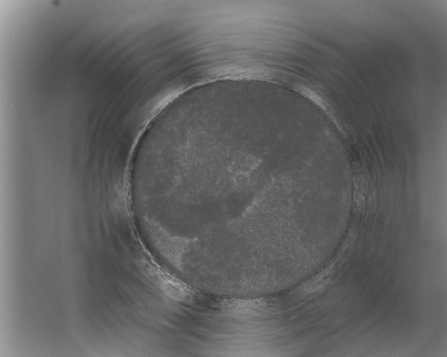 X0000062901074200601271707