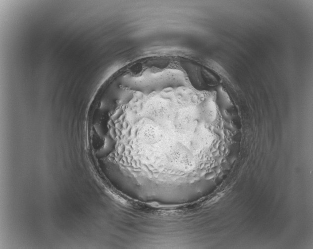 X0000062901079200601271707