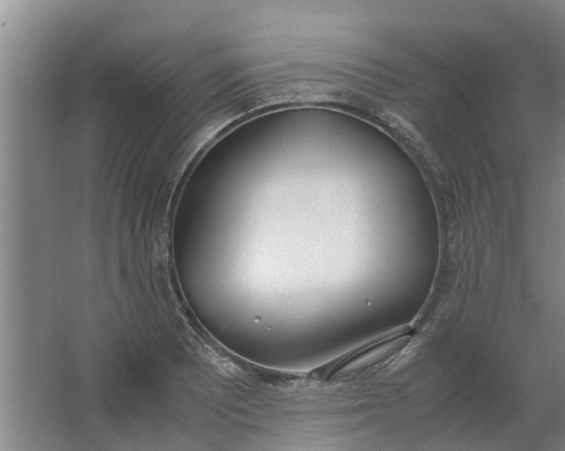 X0000062901081200601271707