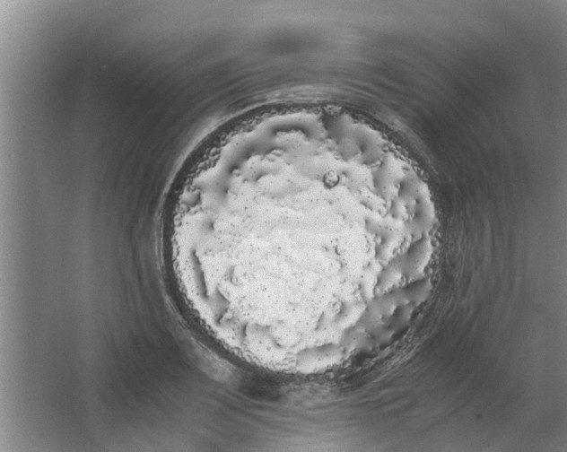 X0000062901083200601271707