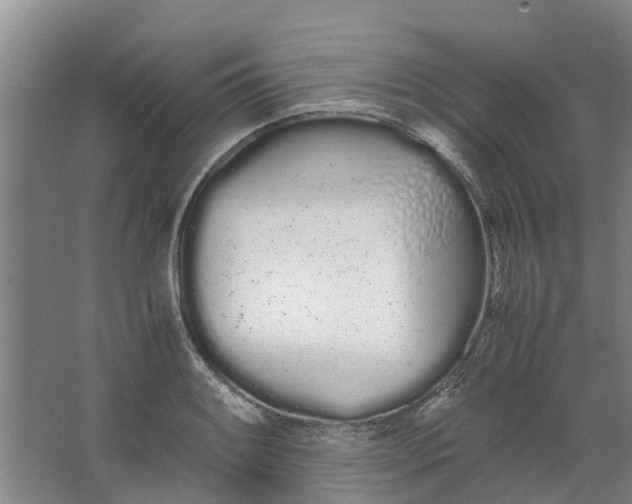 X0000062901084200601271707