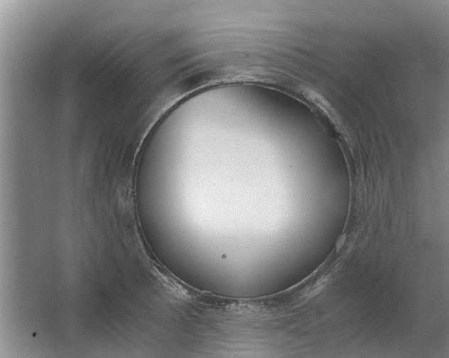 X0000062901089200601271707