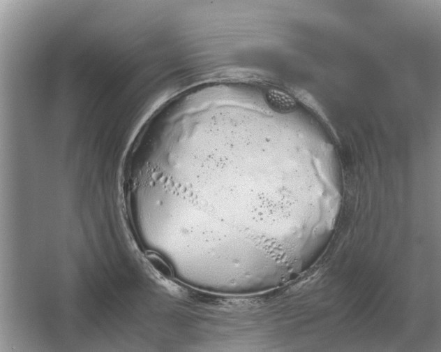 X0000062901091200601271707