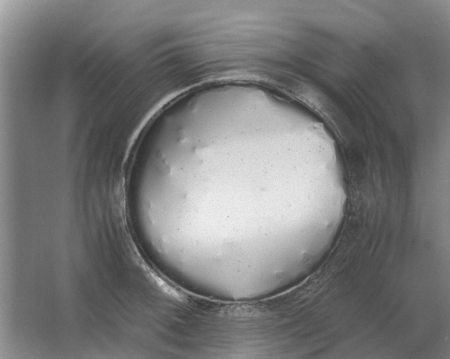 X0000062901092200601271707