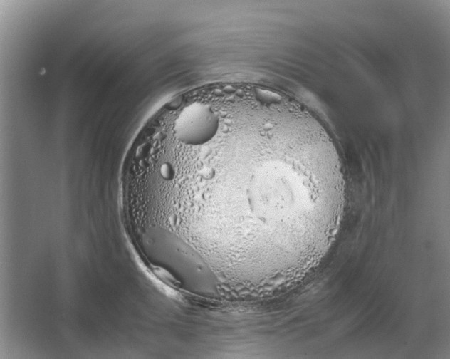 X0000062901095200601271707