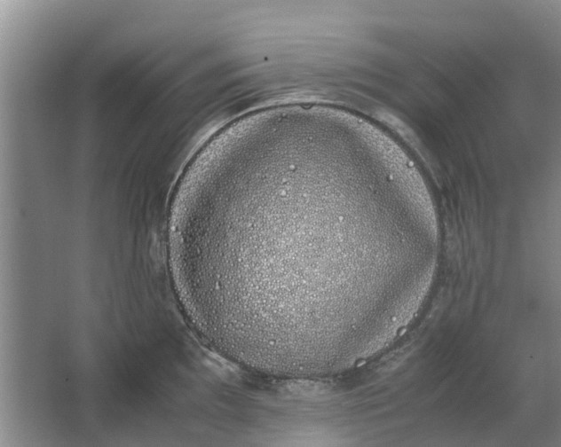 X0000062901097200601271707