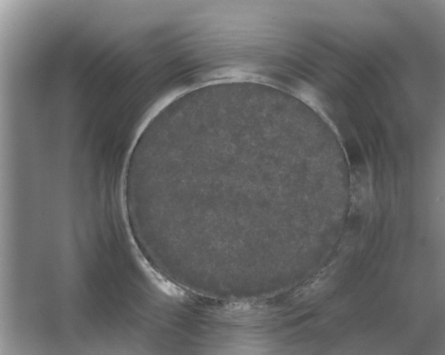 X0000062901098200601271707