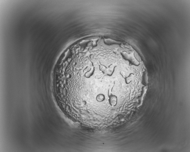 X0000062901099200601271707