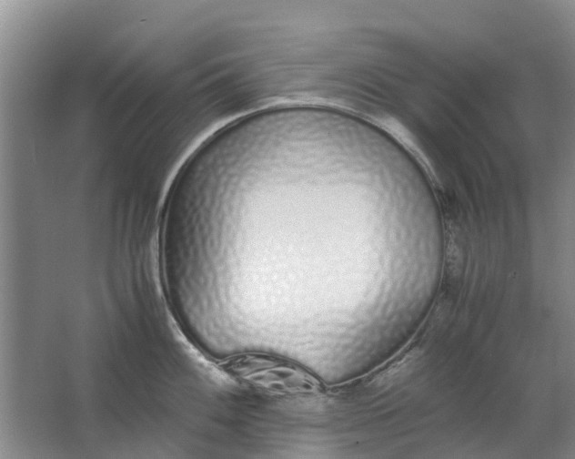 X0000062901100200601271707