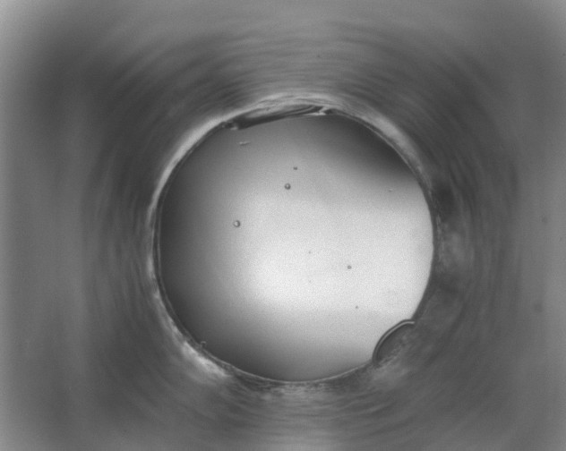 X0000062901102200601271707