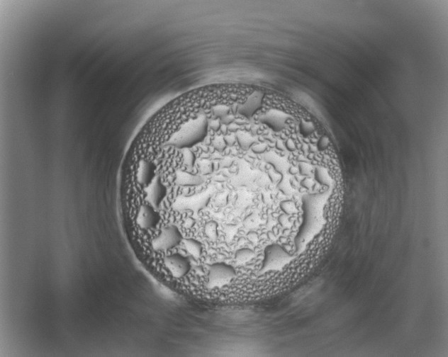 X0000062901103200601271707