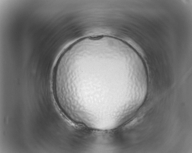 X0000062901104200601271707