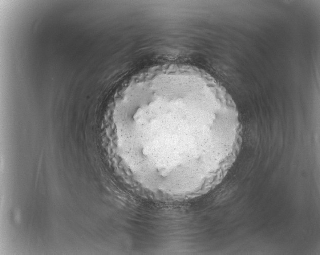 X0000062901105200601271706