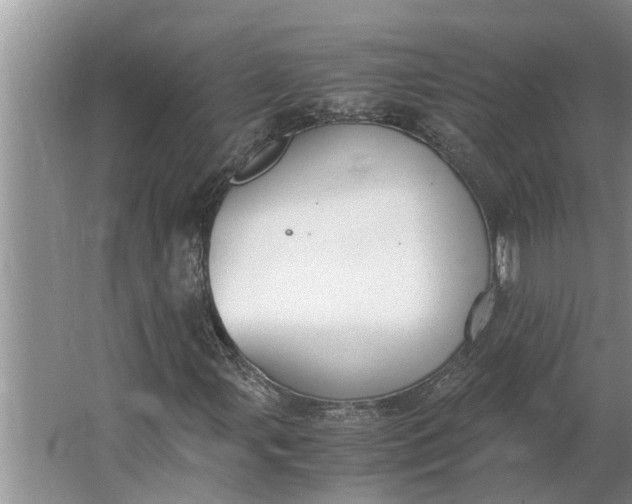 X0000062901107200601271706