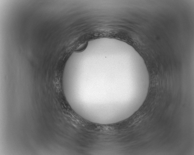 X0000062901109200601271706