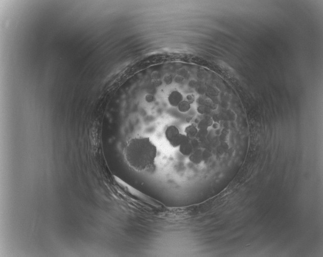 X0000062901110200601271706