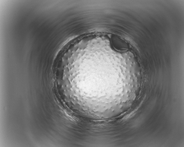 X0000062901117200601271706