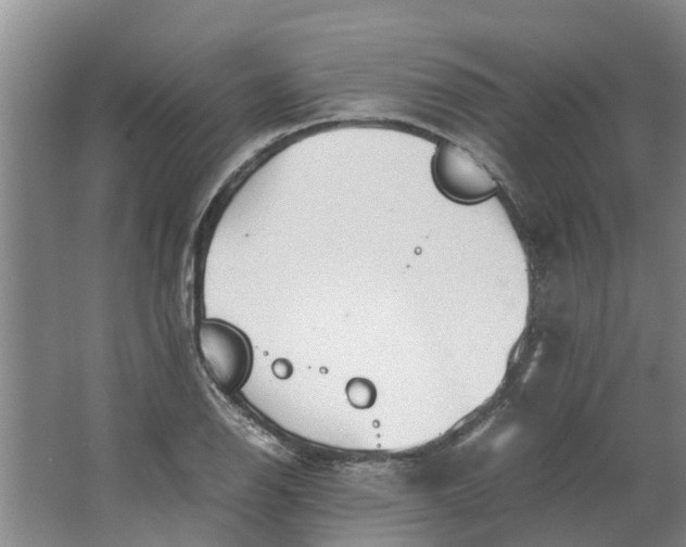 X0000062901126200601271706