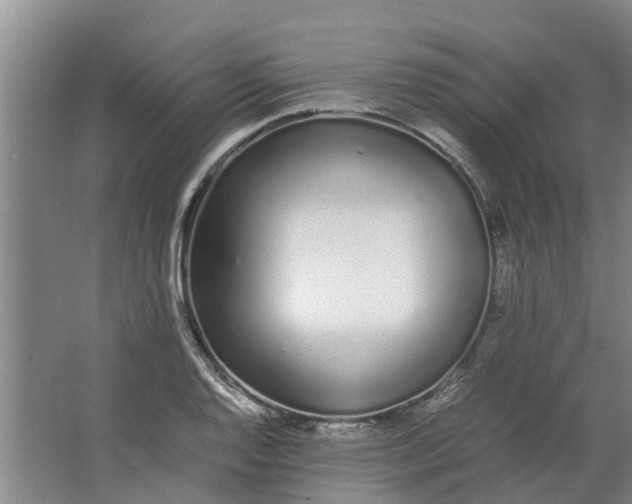 X0000062901128200601271706