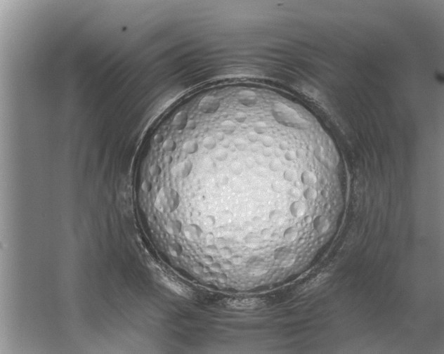 X0000062901129200601271706