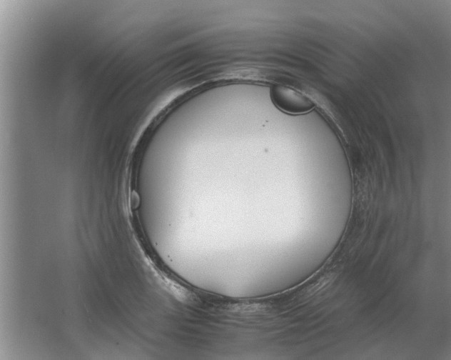 X0000062901131200601271707