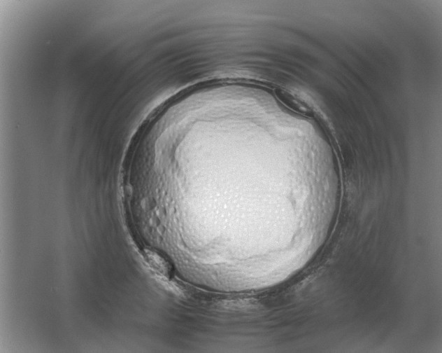 X0000062901133200601271707