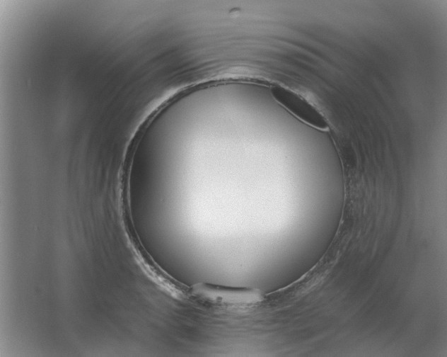 X0000062901134200601271707