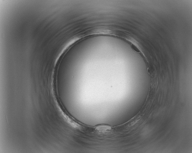 X0000062901139200601271707