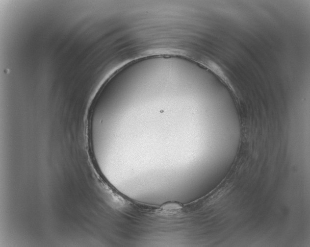 X0000062901140200601271707