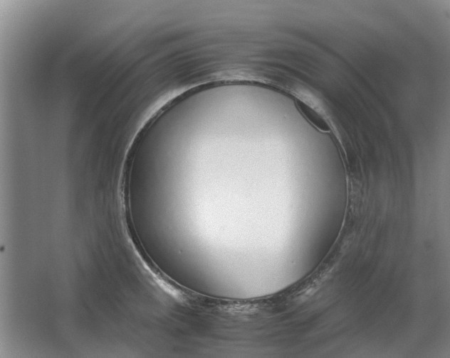 X0000062901141200601271707