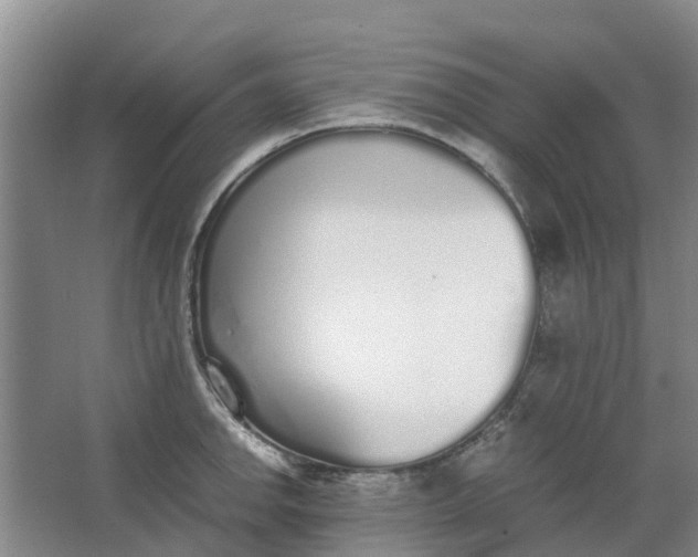 X0000062901142200601271707