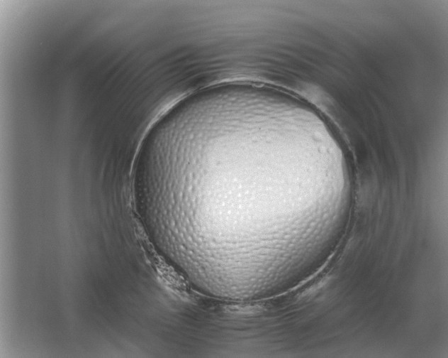 X0000062901145200601271707