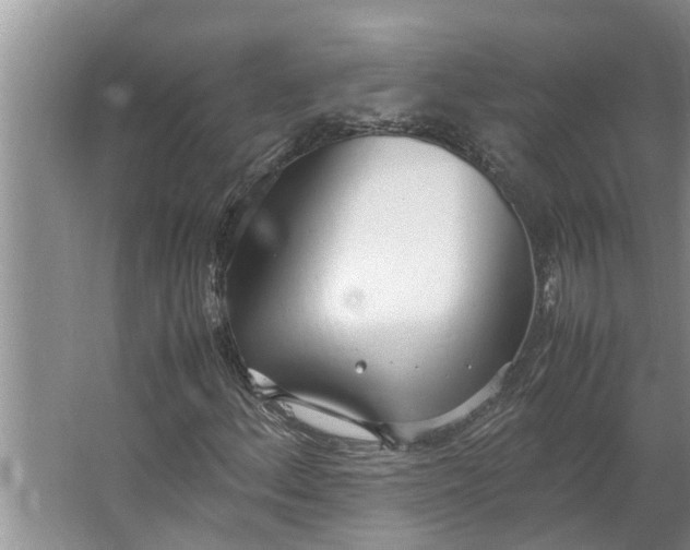 X0000062901156200601271706