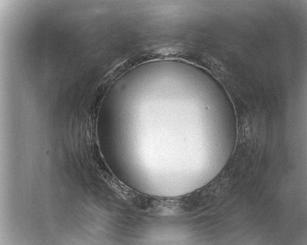 X0000062901158200601271706