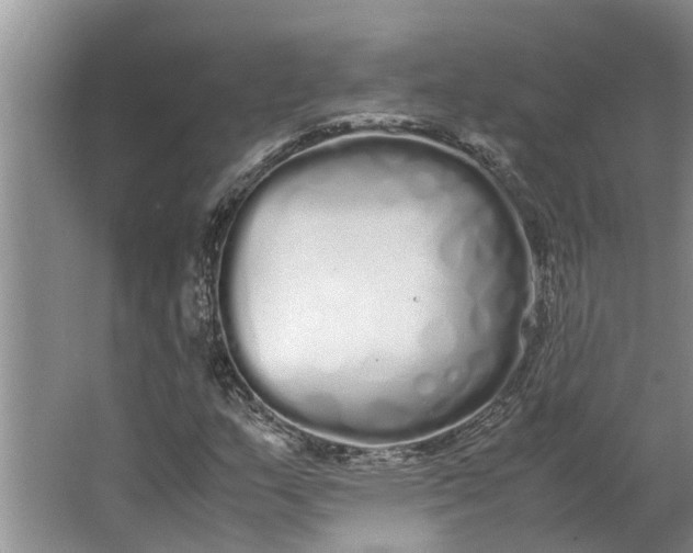 X0000062901159200601271706