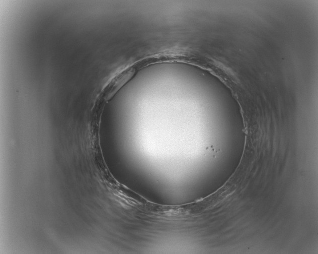 X0000062901160200601271706