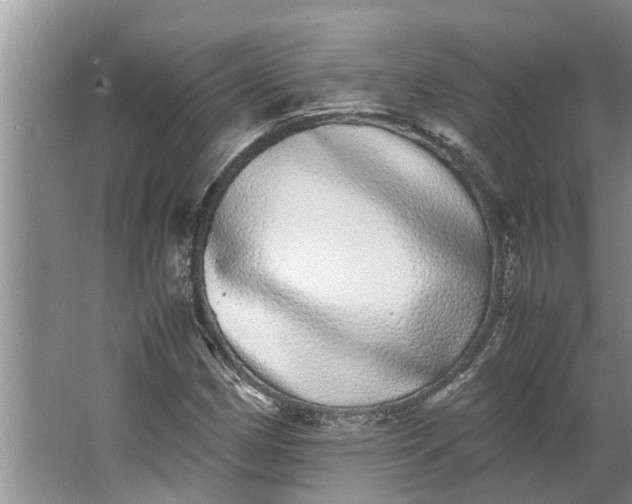 X0000062901162200601271706