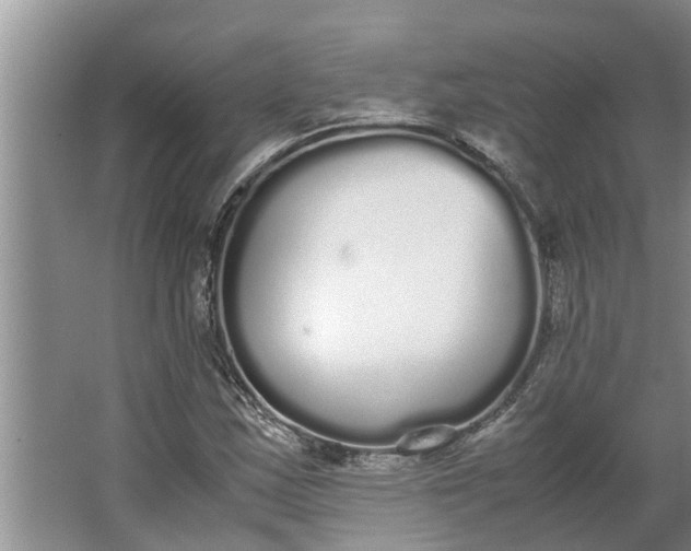 X0000062901163200601271706