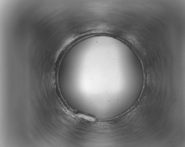 X0000062901164200601271706