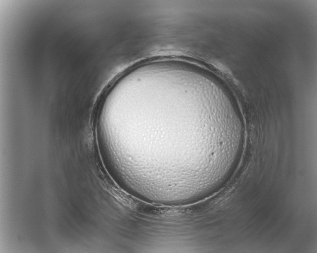 X0000062901167200601271706